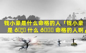 钱小豪是什么命格的人「钱小豪是 🦊 什么 🐋 命格的人啊」